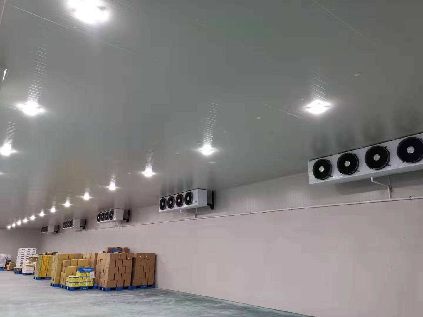 城市周邊建造一個8800平生鮮電商冷庫設計安裝費用？